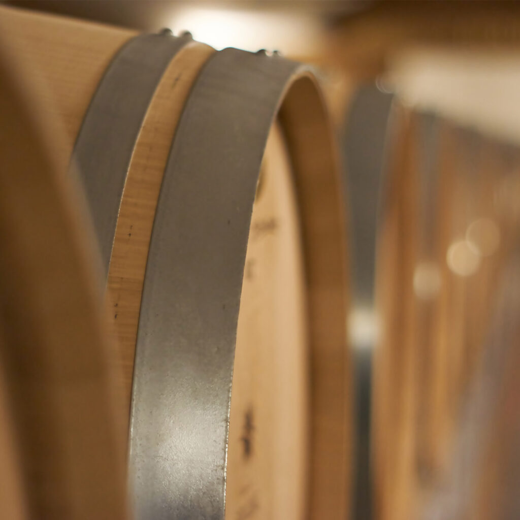 Wineleven - Il vino nel legno e nella botte